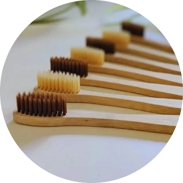 Bamboo Toothbrush