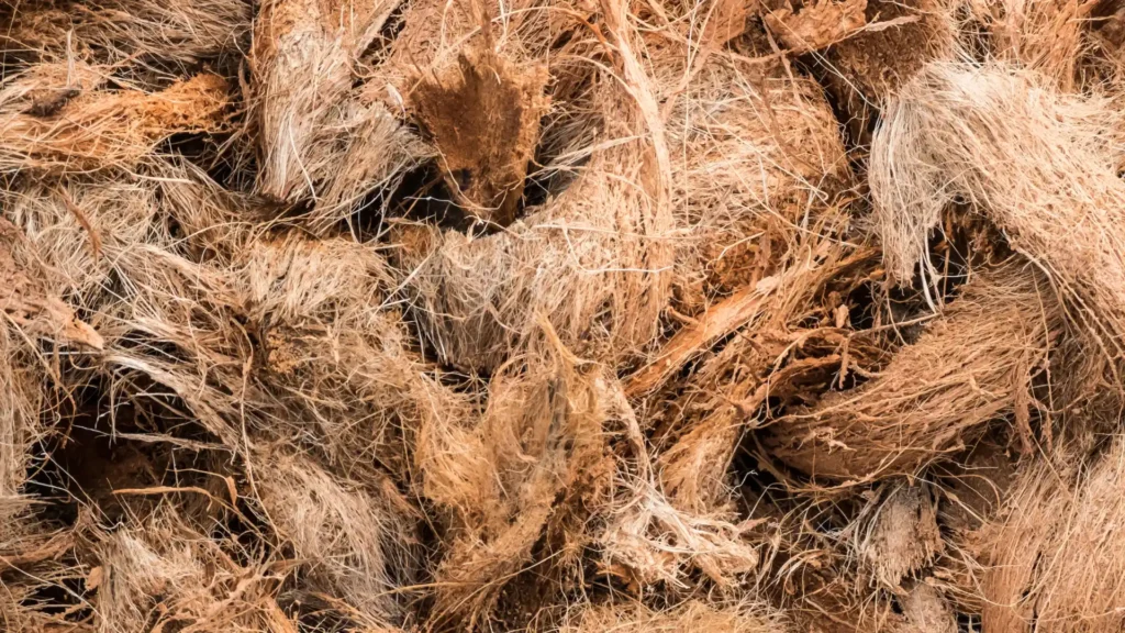 Coir Husk