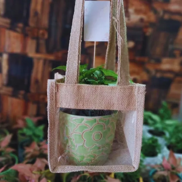 Jute Bag & planter