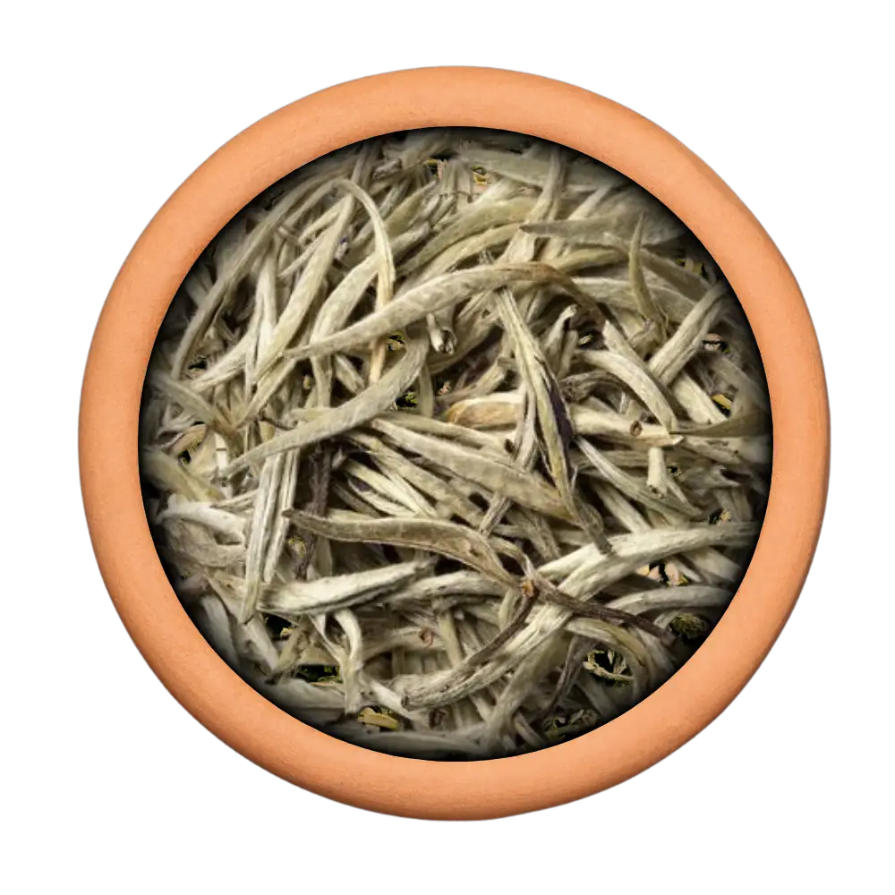Orthodox-White-Tea-Leaf