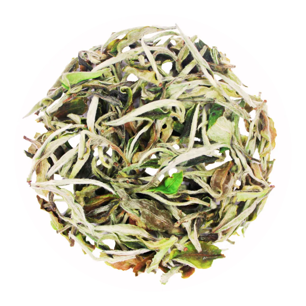 White Peony Tea