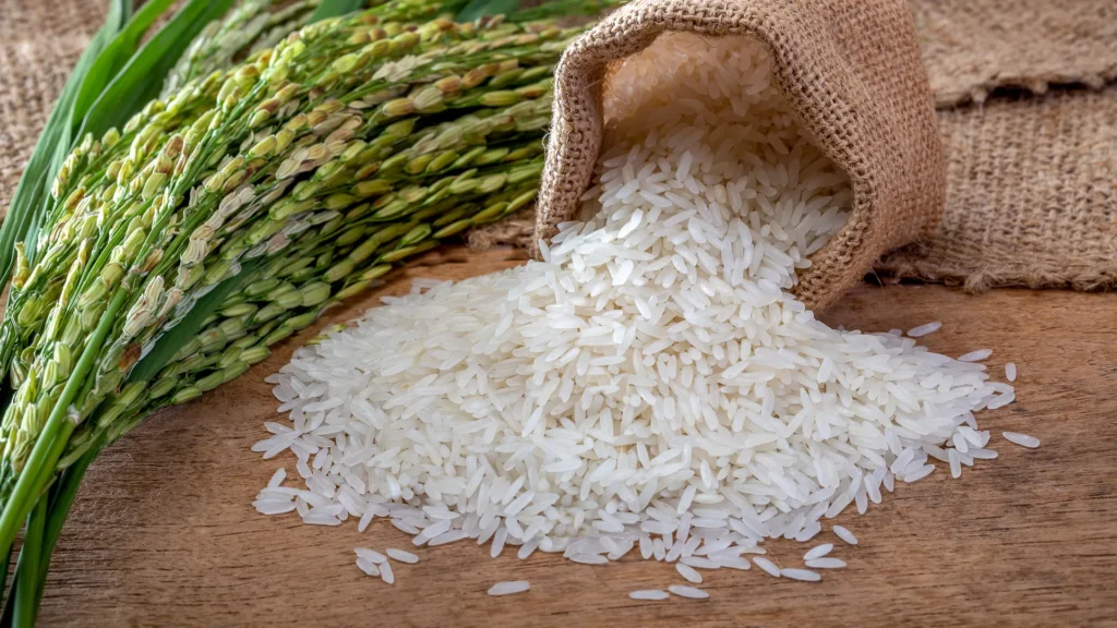 Rice