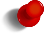 Pin
