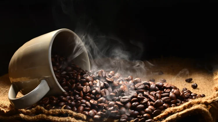 Coffee beans display img