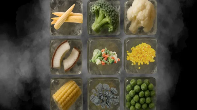 Frozen vegetables in cubed ice