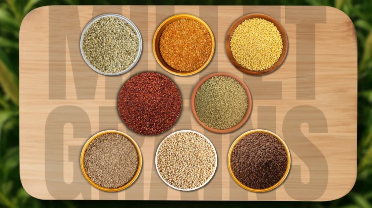 Millet Grains