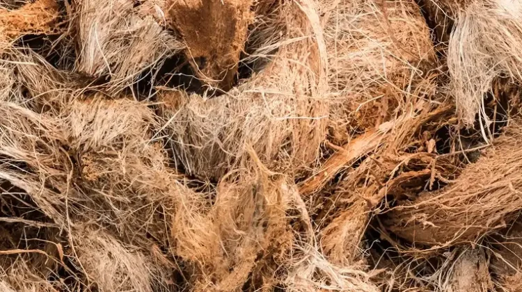 Coir