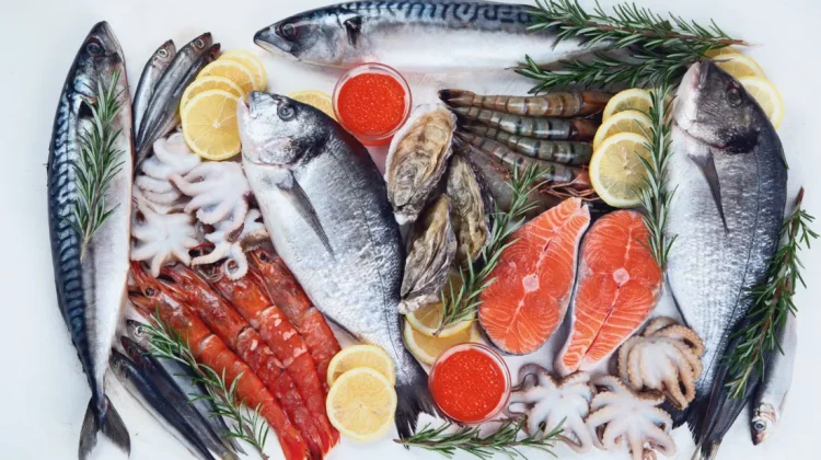 Sea Food Export From India